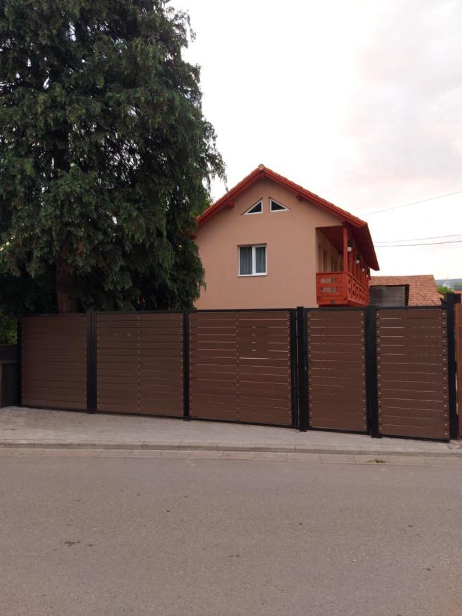 Anna Vendeghaz Hotel Praid Exterior foto